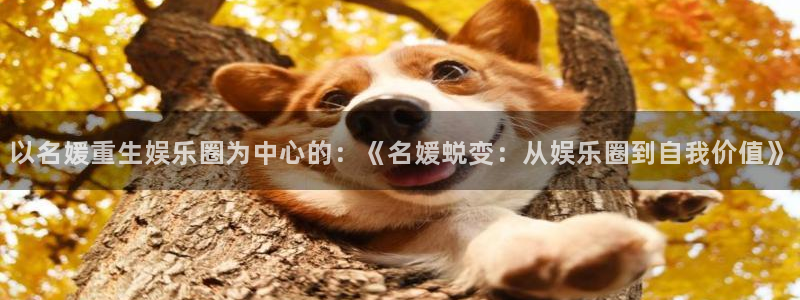 韦德1946：以名媛重生娱乐圈为中心的：《名媛蜕变：从娱乐圈到自我价值》