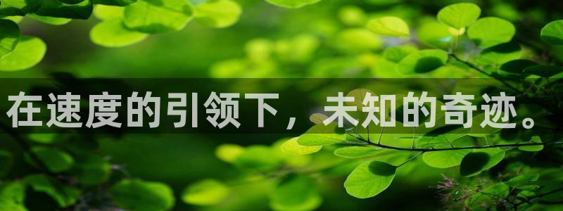 韦德1946娱乐：在速度的引领下，未知的奇迹。