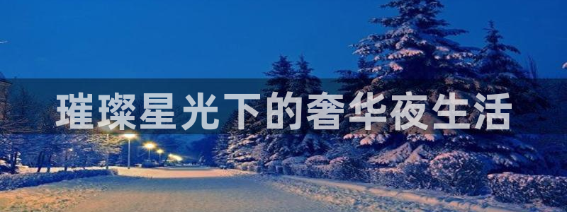 韦德1946官网最新版：璀璨星光下的奢华夜生活