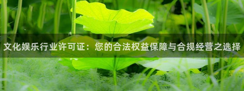 韦德1946安卓二维码：文化娱乐行业许可证：您的合法权益保障与合规经营之选择
