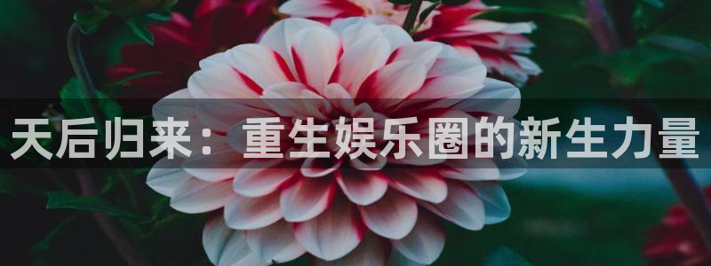 韦德1946网址：天后归来：重生娱乐圈的新生力量
