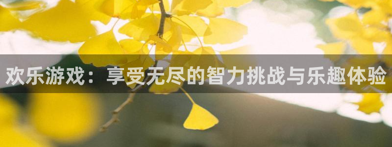 韦德1946安卓二维码：欢乐游戏：享受无尽的智力挑战与乐趣体验